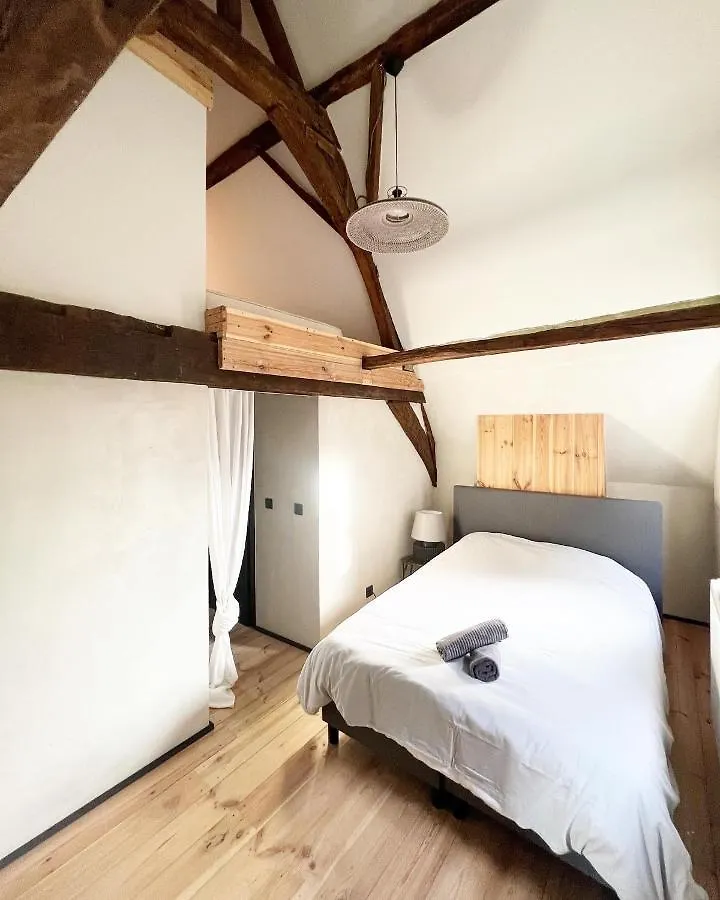 Loulou Home'S Антверпен 0*,  Бельгия